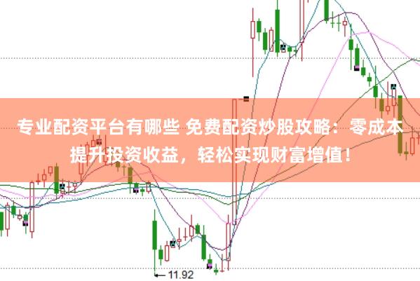 专业配资平台有哪些 免费配资炒股攻略：零成本提升投资收益，轻松实现财富增值！