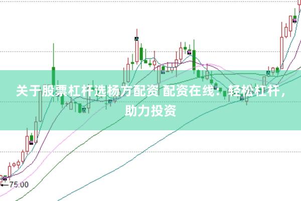 关于股票杠杆选杨方配资 配资在线：轻松杠杆，助力投资