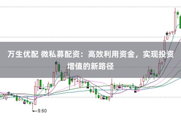 万生优配 微私募配资：高效利用资金，实现投资增值的新路径