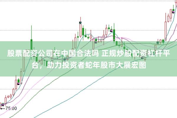股票配资公司在中国合法吗 正规炒股配资杠杆平台，助力投资者蛇年股市大展宏图