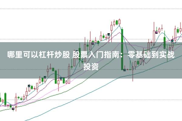 哪里可以杠杆炒股 股票入门指南：零基础到实战投资