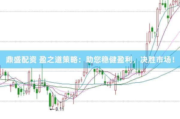 鼎盛配资 盈之道策略：助您稳健盈利，决胜市场！