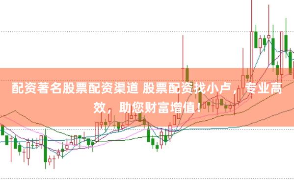 配资著名股票配资渠道 股票配资找小卢，专业高效，助您财富增值！
