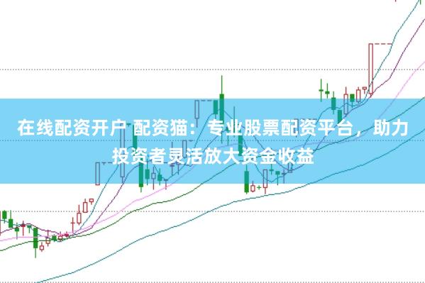 在线配资开户 配资猫：专业股票配资平台，助力投资者灵活放大资金收益