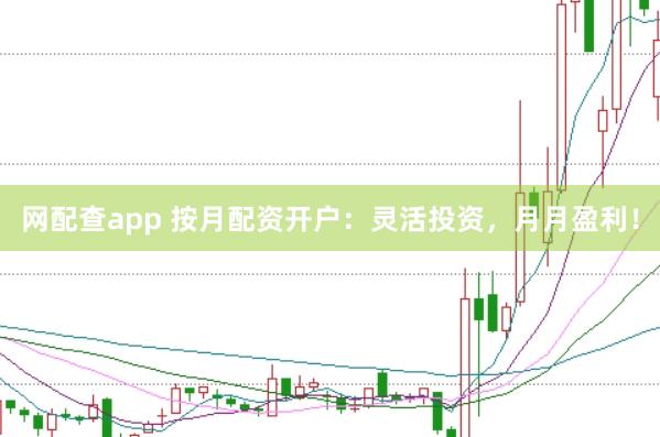 网配查app 按月配资开户：灵活投资，月月盈利！