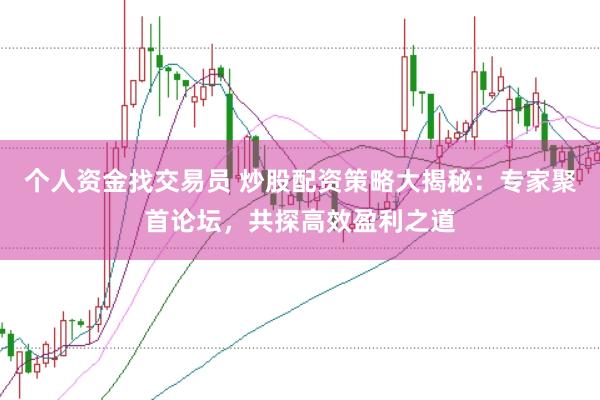 个人资金找交易员 炒股配资策略大揭秘：专家聚首论坛，共探高效盈利之道