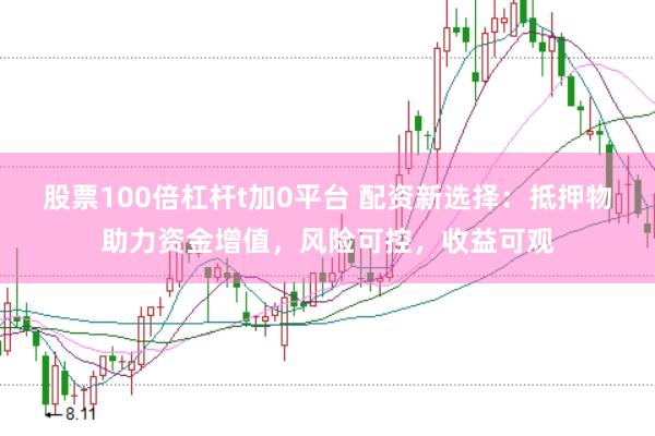 股票100倍杠杆t加0平台 配资新选择：抵押物助力资金增值，风险可控，收益可观