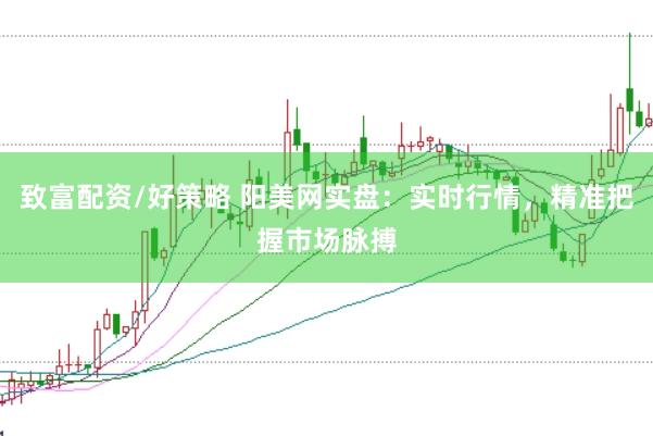 致富配资/好策略 阳美网实盘：实时行情，精准把握市场脉搏