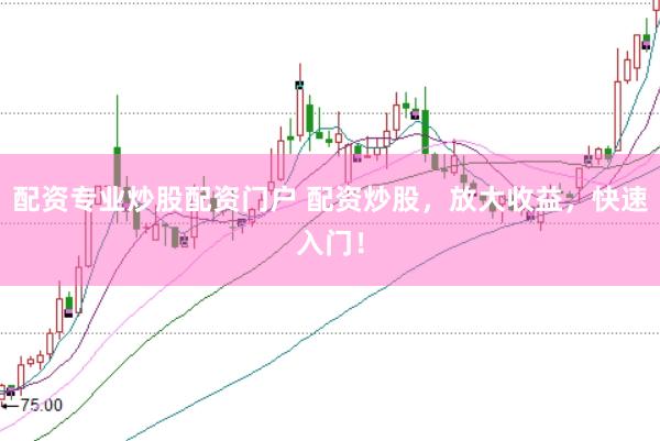 配资专业炒股配资门户 配资炒股，放大收益，快速入门！
