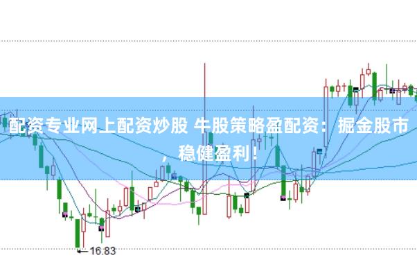 配资专业网上配资炒股 牛股策略盈配资：掘金股市，稳健盈利！