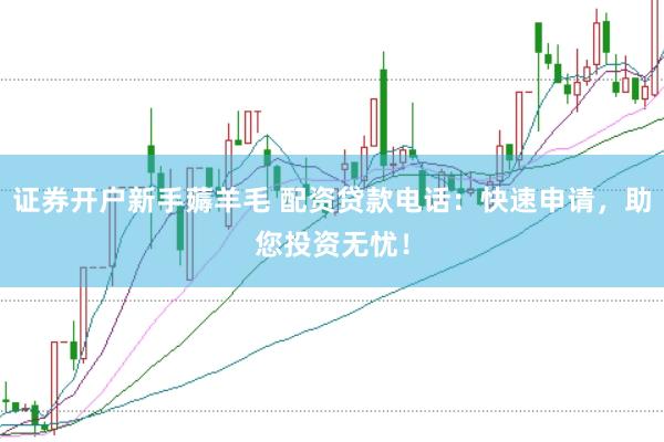 证券开户新手薅羊毛 配资贷款电话：快速申请，助您投资无忧！
