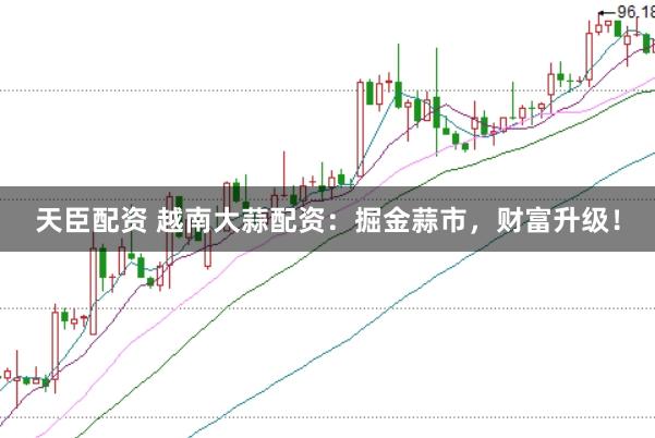 天臣配资 越南大蒜配资：掘金蒜市，财富升级！